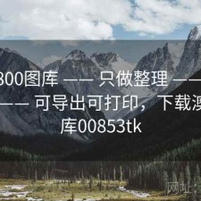 澳彩800图库 —— 只做整理 —— 结果校验 —— 可导出可打印，下载澳彩图库00853tk