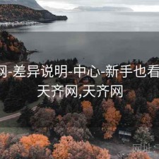 天齐网-差异说明-中心-新手也看得懂，天齐网,天齐网