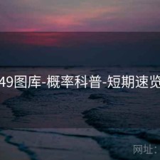 49图库-概率科普-短期速览
