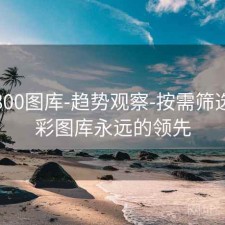 澳彩800图库-趋势观察-按需筛选，澳彩图库永远的领先