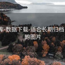 99图库-数据下载-适合长期归档，991的图片