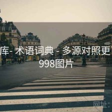 99图库- 术语词典 - 多源对照更可靠，998图片
