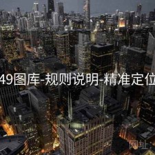 49图库-规则说明-精准定位